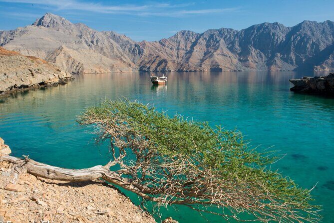 Khasab Musandam Half Day Dhow Cruise - What to Expect on Your Khasab Musandam Half Day Dhow Cruise