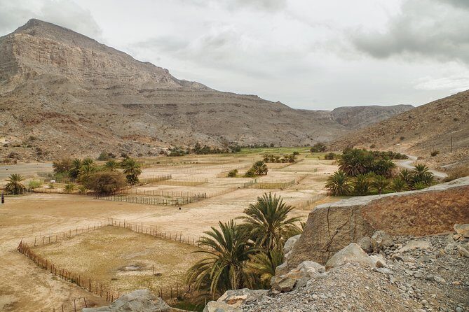 Khasab Musandam Mountain Safari - The Sum Up: Is This Tour Worth It?