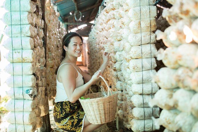Khmer Cooking Class at a Local's Home in Krong Siem Reap - Real Traveler Insights