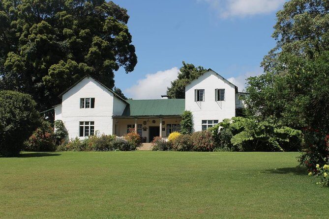 Kiambethu Tea Farm Tour & Lunch From Nairobi - An In-Depth Look at the Kiambethu Tea Farm Tour
