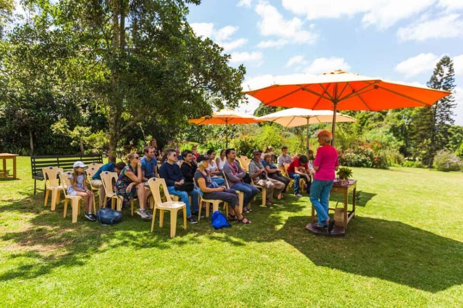 Kiambethu Tea Farm Tour & Lunch