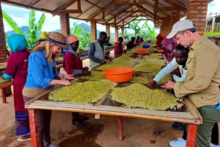 Kigali: City Tour and Coffee Tour experience - Who Should Consider This Tour?