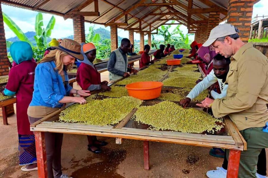 Kigali: City Tour and Coffee Tour experience - Who Should Consider This Tour?