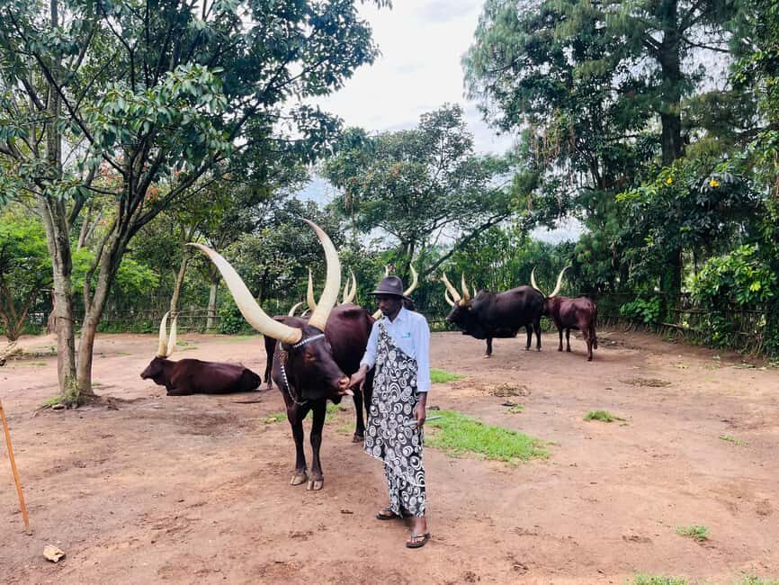 Kigali: Culture tour @ King palace, museum & the memorial - Practical Details and Value