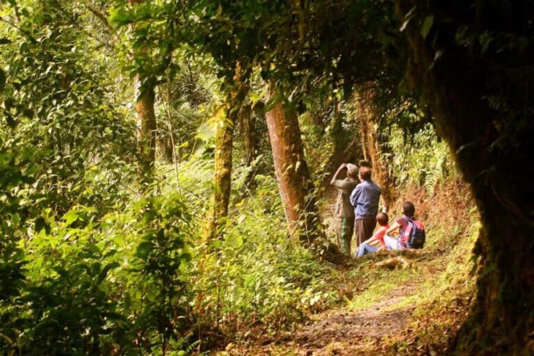 Kigali:1 Day Nyungwe Canopy Walk & Waterfall Tour adventure - What’s Included and What to Keep in Mind