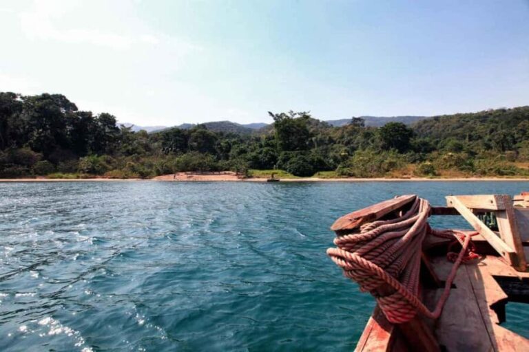 Kigoma: 5-Day Gombe and Mahale National Parks Safari - Final Thoughts: Who Will Love This Tour?