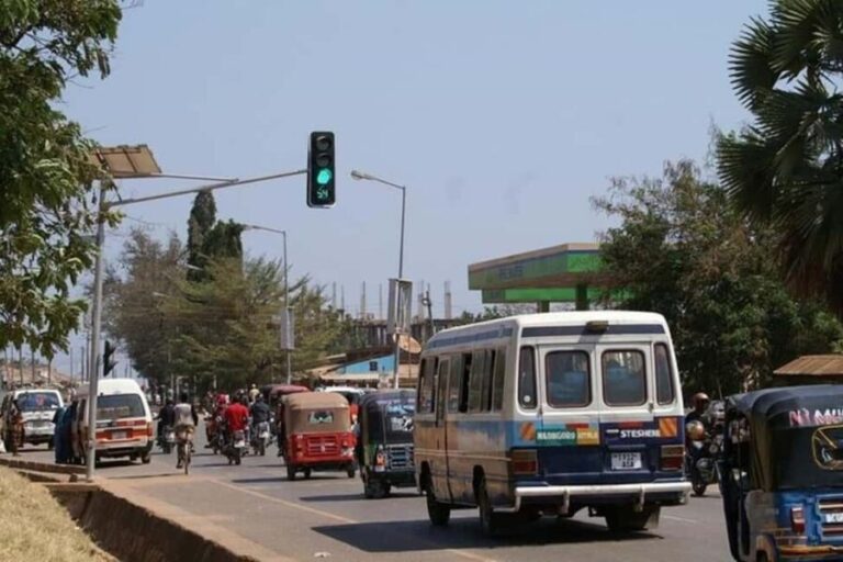Kigoma: City tour with Dr. Livingstone memorial - Practical Details