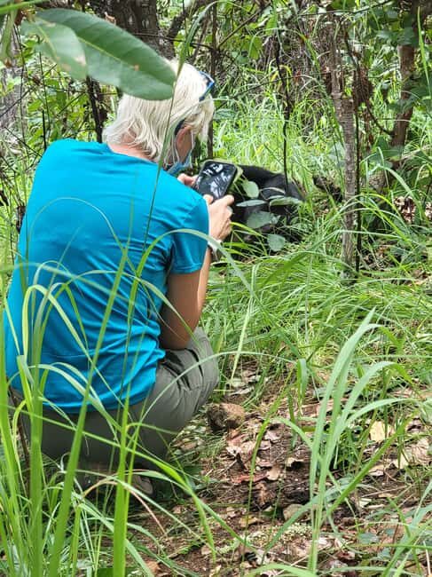 Kigoma: Gombe National Park Day Trip with Chimpanzee Trek - What Makes This Tour Stand Out?