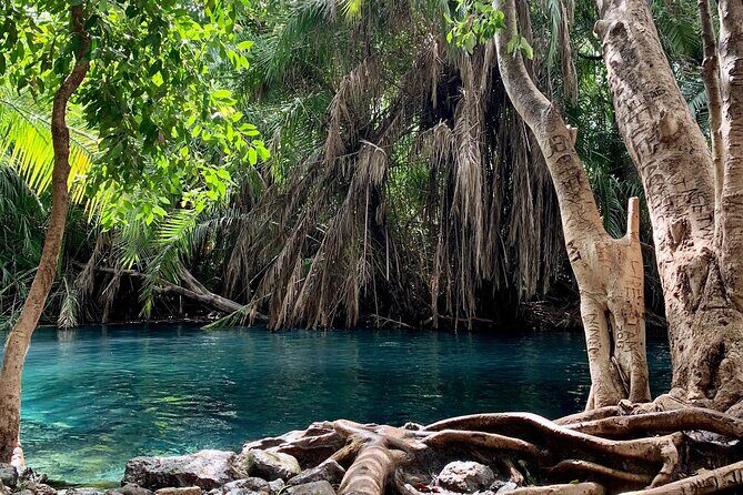 Kikuletwa Chemka Hot Springs Bicycle or Tuk Tuk Day Trip - Itinerary Breakdown and Highlights