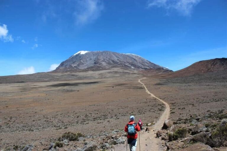 Kilimanjaro: 14-Day Climb and Zanzibar Island Retreat - Zanzibar: A Coastal Paradise