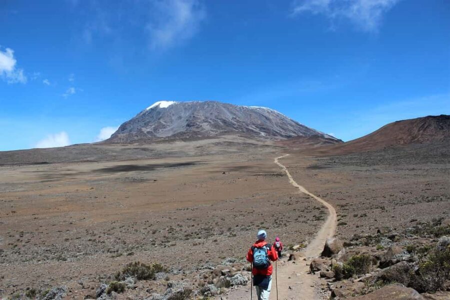 Kilimanjaro: 14-Day Climb and Zanzibar Island Retreat - Zanzibar: A Coastal Paradise