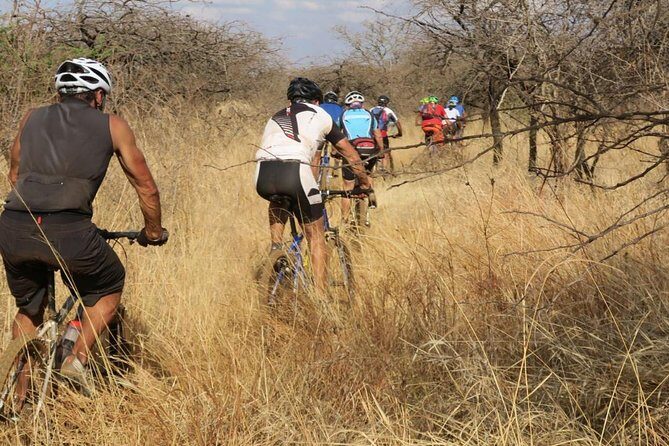 Kilimanjaro 360 - Who Would Love Kilimanjaro 360?