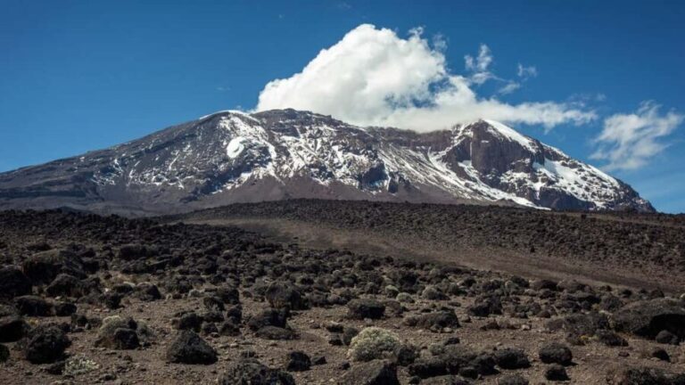 Kilimanjaro: 5-Day Luxury Climbing Tour on Marangu Route - Itinerary Breakdown: What You Can Expect