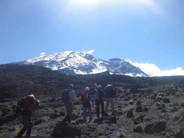 Kilimanjaro: 6-Day Machame Route Trek with Summit Attempt - Day 2: Machame Camp to Shira Camp