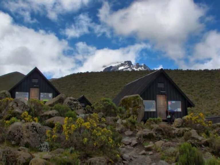 Kilimanjaro: 6-Day Marangu Route Climbing Tour - What Makes This Tour Stand Out