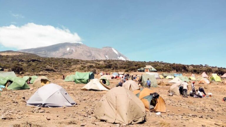 Kilimanjaro: 7-Day Kilimanjaro Umbwe Route Guided Trek - Why Choose This Trek?