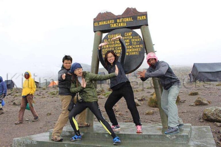 Kilimanjaro: 7-Day Lemosho Route Trek with Summit Attempt - The Experience and What Travelers Say