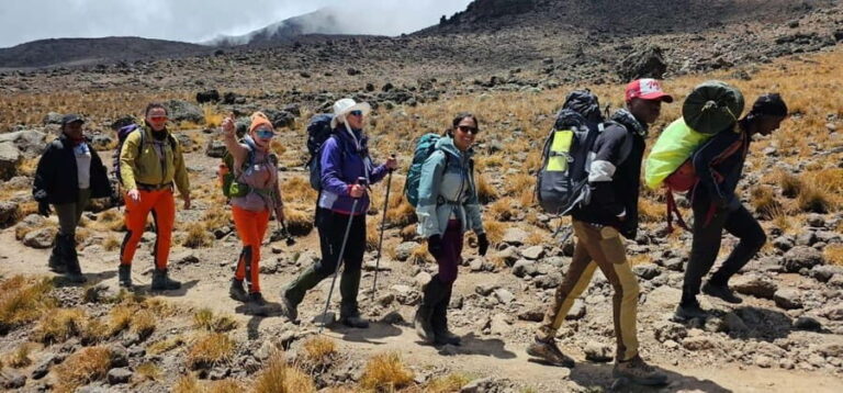 Kilimanjaro: 7-Day Machame Route Trek with Transfers - Day-by-Day Breakdown