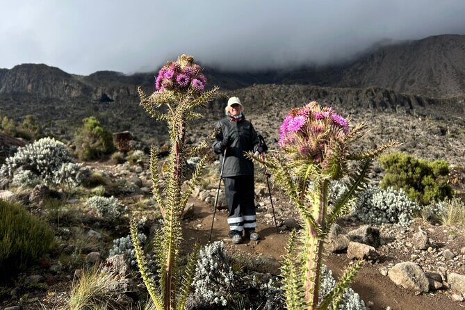 Kilimanjaro Climb by Machame Route 6 days - The Support and Logistics
