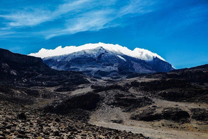 Kilimanjaro climb, Northern Circuit route (8-day) - What Makes This Tour Stand Out?