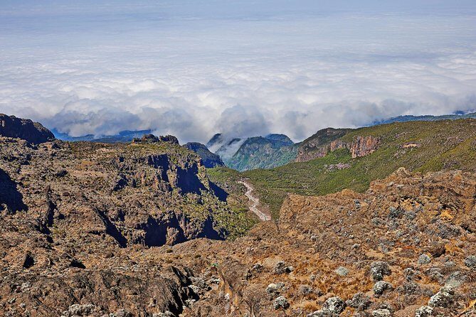 Kilimanjaro climb, Rongai Route (6-day) - Pricing and Value: Is It Worth It?