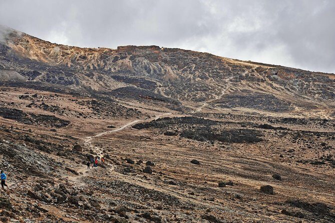 Kilimanjaro climb, Rongai Route (7-day) - What Makes This Tour Stand Out?