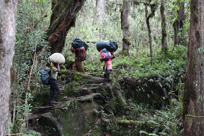 Kilimanjaro Day Hike Marangu Route - The Itinerary: What Can You Expect?