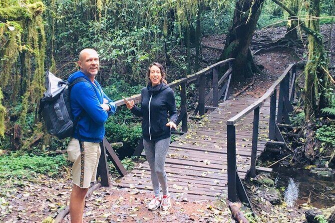 Kilimanjaro Day Hike - Why This Tour Works