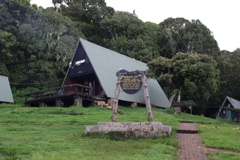 Kilimanjaro: Day trip -hike to Mandara Hut Kilimanjaro 2700m - Final Thoughts: Who Should Consider This Tour?
