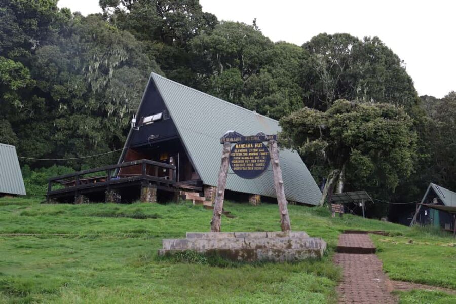 Kilimanjaro: Day trip -hike to Mandara Hut Kilimanjaro 2700m - Final Thoughts: Who Should Consider This Tour?