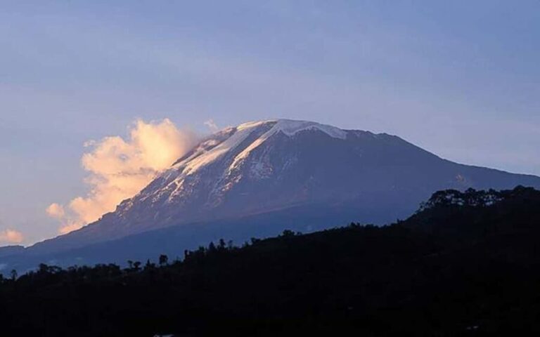 Kilimanjaro in a Day: Unforgettable Marangu Route Adventure - What makes this tour stand out?
