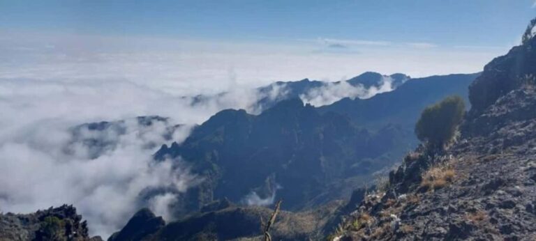 Kilimanjaro: Marangu Route 5-Day Trek - Detailed Breakdown of the Itinerary