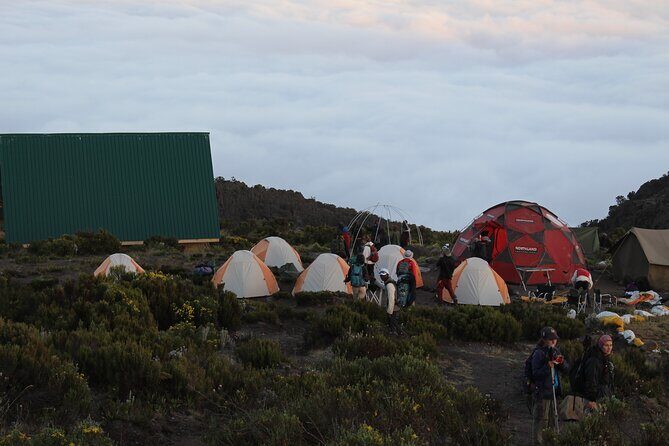 Kilimanjaro Marangu Route 6 Days - Who Should Consider This Tour?