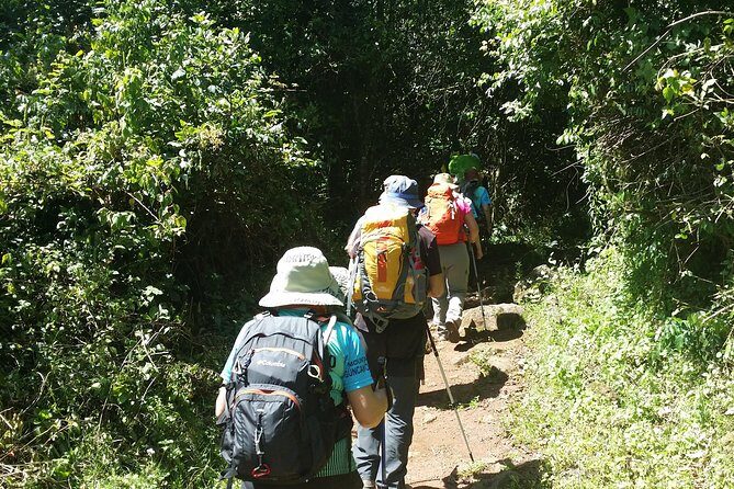 Kilimanjaro Marangu Route Day Tour - The Sum Up: The Value of a Kilimanjaro Day Trip