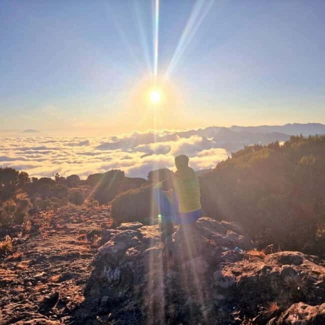KILIMANJARO: Mt. Kilimanjaro Shira Plateau Day Hike - Why This Tour Is Worth Considering