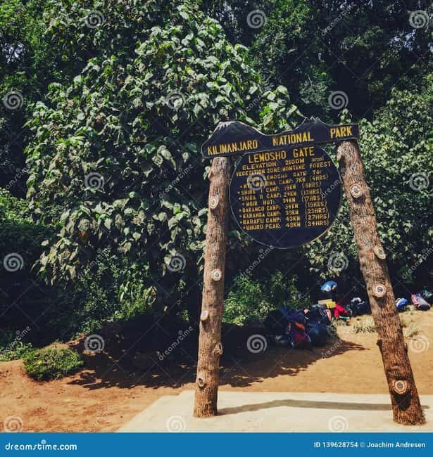 Kilimanjaro National Park- 8Day Lemosho Route - The Itinerary in Detail