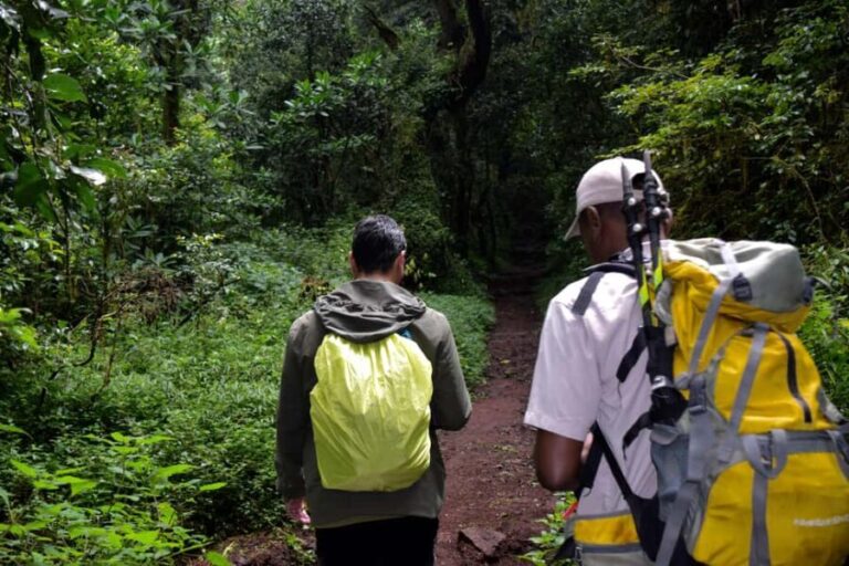 Kilimanjaro: Overnight Camp at Mandara Huts - What’s Included and How It Adds Value