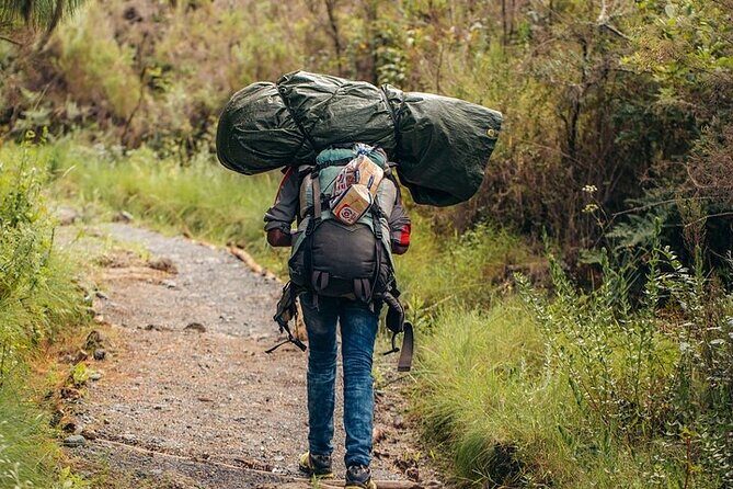 Kilimanjaro Private Climbing in 6 Days Marangu Route - Who Is This Tour Best Suited For?