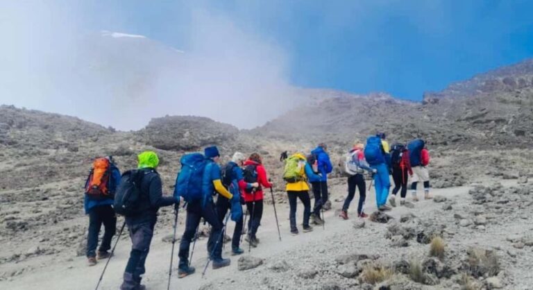 Kilimanjaro: Rongai Route 6-Day Hiking Adventure - Who Is This Trek Best Suited For?