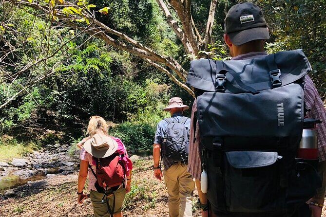 Kilimanjaro Wanderlust Day Hike - A Closer Look at the Experience