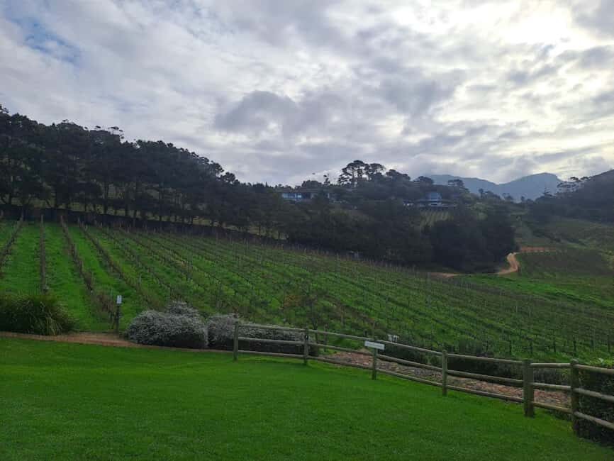 Kirstenbosch Botanical Garden and Constantia Wine Region - Transport and Transition to Wine Country