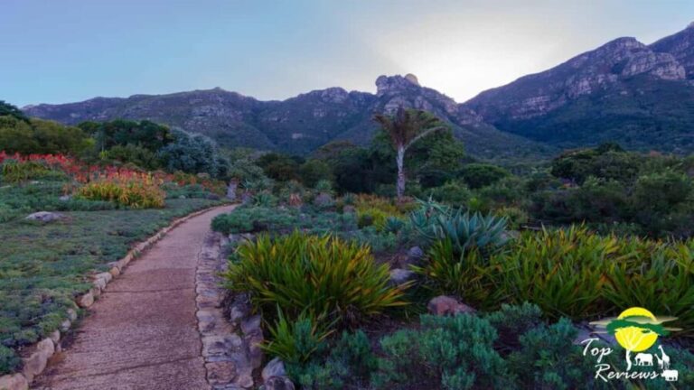 Kirstenbosch Botanical Gardens and Constantia Wine Tasting - Key Points