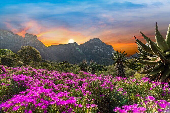 Kirstenbosch Botanical Gardens and Constantia Wine Tasting Tour. - What Reviewers Say