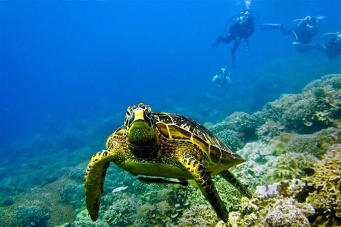 Kisite Marine Park Private Boat Snorkeling with breakfast & Lunch - Practical Tips for Travelers
