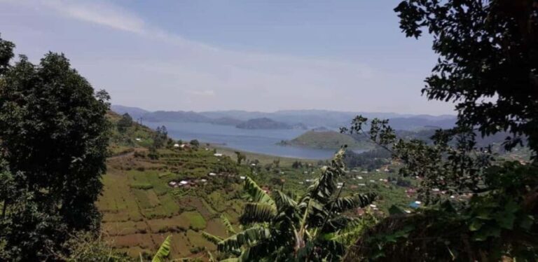 Kisoro: Coffee Village Tour with Hands-On Coffee Making - Why the Value Is Worth Every Penny