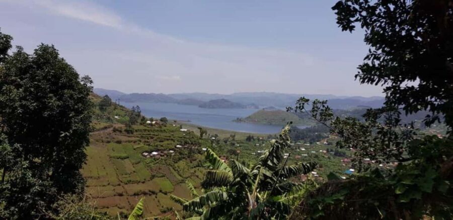 Kisoro: Coffee Village Tour with Hands-On Coffee Making