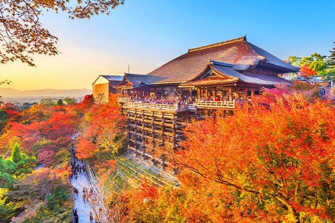 Kiyomizu Temple, Fushimi Inari Taisha: Kyoto & Nara Park Day Tour - Who Should Consider This Tour?