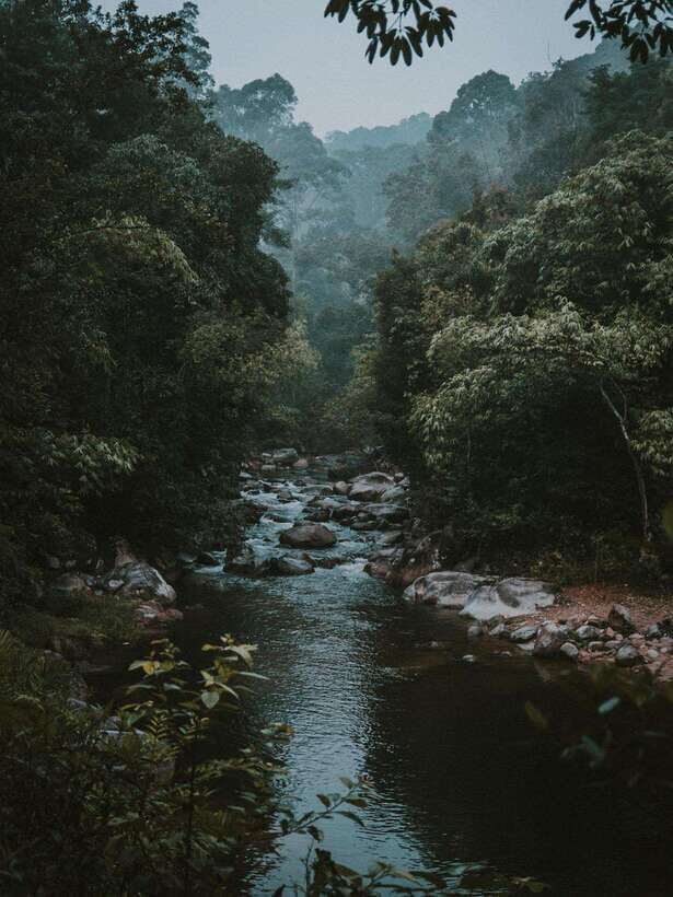 KL: Day Tour with Rafting, Fireflies, and Meals - Detailed Breakdown of the Itinerary