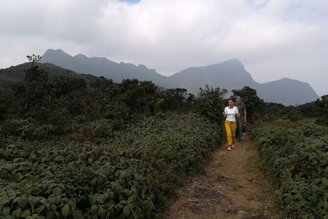 Knuckles Mountain Range Hiking and Trekking Day Tour From Kandy Hotels - The Itinerary: From Early Morning to Sunset