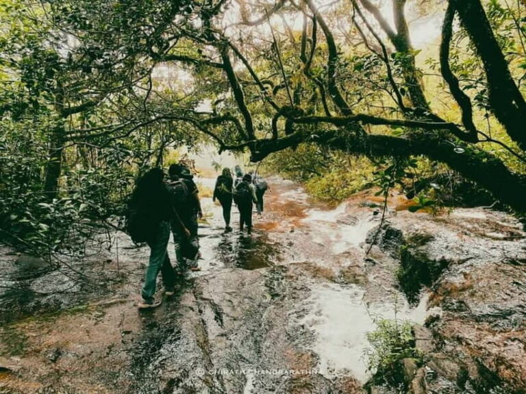 Knuckles Mountain Range: Kotaganga Waterfall Chain Hike - A Detailed Look at the Itinerary